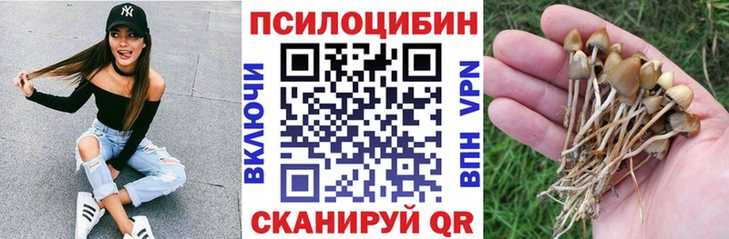 OMG   цена наркотик  Тотьма  Псилоцибиновые грибы MAGIC MUSHROOMS 